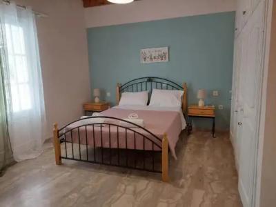 Amelia's Garden - 28