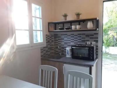 Amelia's Garden - 18