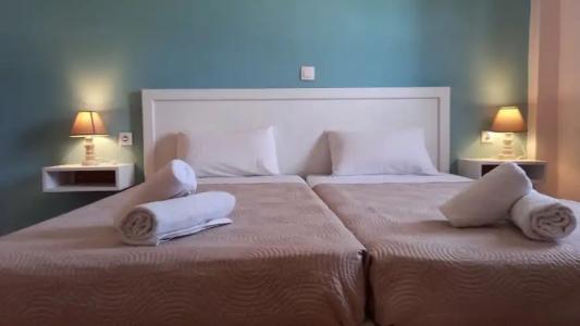 Amelia's Garden - 25