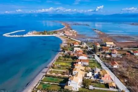 Amelia's Garden - 12