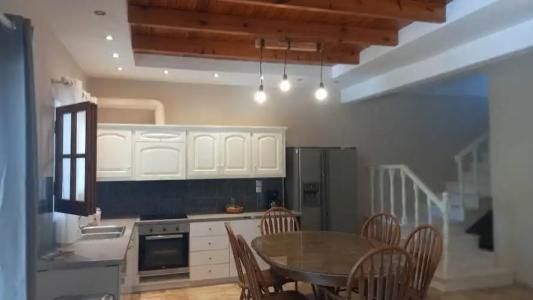 Amelia's Garden - 19