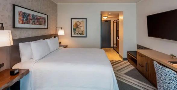 Hilton Garden Inn Austin University Capitol District - 132