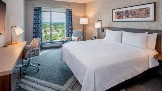 Hilton Garden Inn Austin University Capitol District - 130