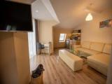King Studio with Sofa Bed