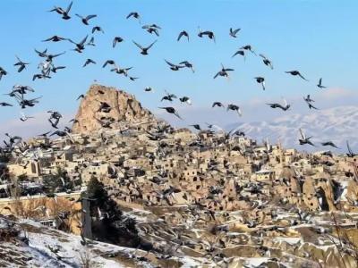 Pome Granate Cave - 17