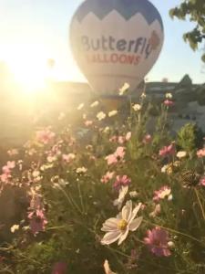 Naraca Cave House - 15