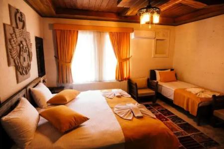 Wonder of cappadocia - 99