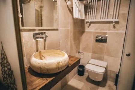 Wonder of cappadocia - 61