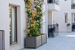 Queen Residences & Apart Hotel, Bodrum