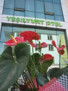 Yeşilyurt otel - 52