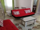 Double Family Apartment