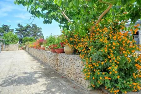 Residence Villa Grotta Monaca - 76