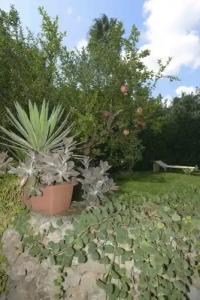 Residence Villa Grotta Monaca - 72