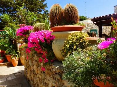 Residence Villa Grotta Monaca - 12