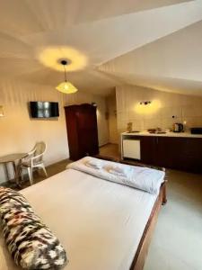 Villa Merci Budva - 96