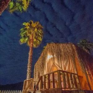 The Hill Glamping Cirali - 41