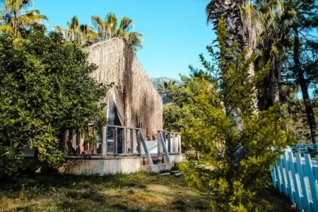 The Hill Glamping Cirali - 50