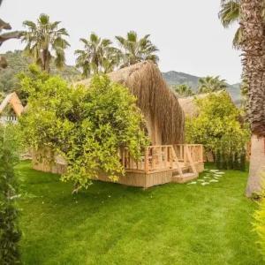 The Hill Glamping Cirali - 44