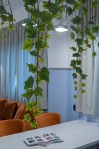 Acro Urban Suites - 84