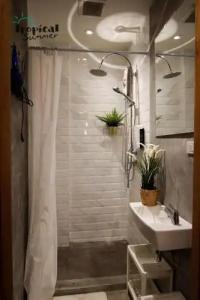 Tropical Summer Hostel - 9