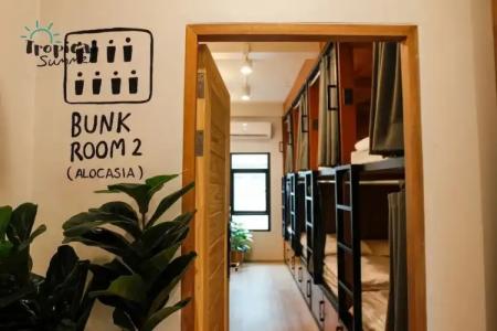 Tropical Summer Hostel - 12