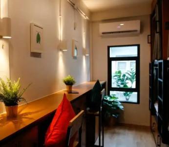 Tropical Summer Hostel - 10