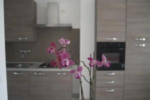 Residence Paradise Apart-hotel