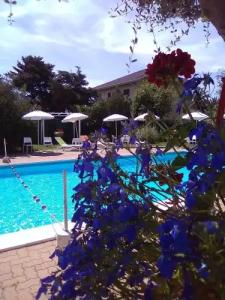 Le Villette di Villa Paola - 8