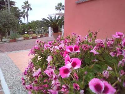 Le Villette di Villa Paola - 9