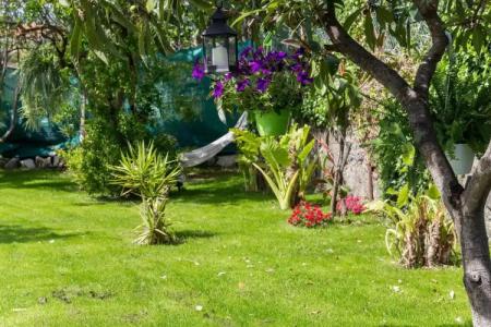 Le Villette di Villa Paola - 17