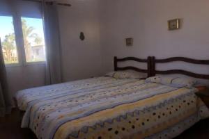 El Poblet Tresento, Denia