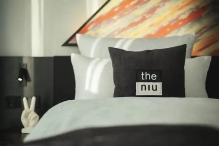the niu Flash - 53