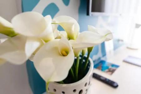 Modica Beach Resort - 59