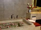 Single Junior Suite