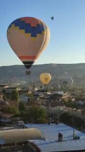 Balloon View - 16