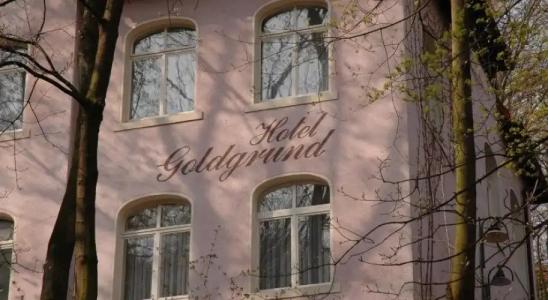 PRIMA Goldgrund
