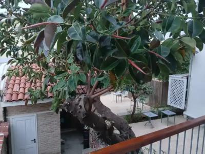 House of Good Things - 123