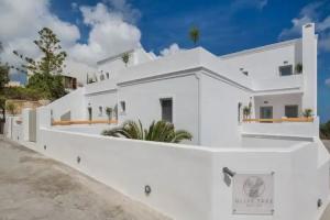 Olive Tree Suites, Fira