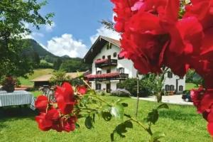 Maiergschwendter-Hof Farm, Ruhpolding