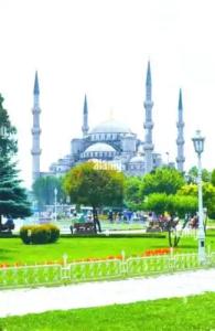 Yasin Apart - 17
