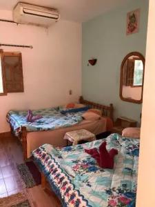Gina Motel Dahab - 34