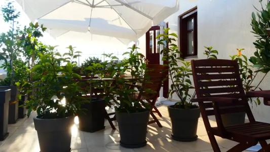 Theasis Athens - 83