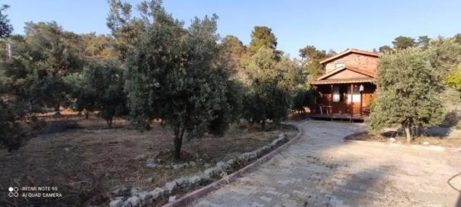 olive garden bungalow - 8