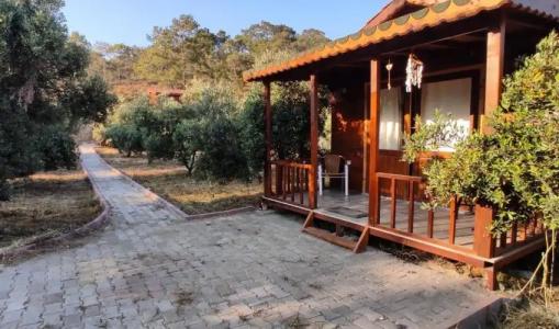 olive garden bungalow - 15