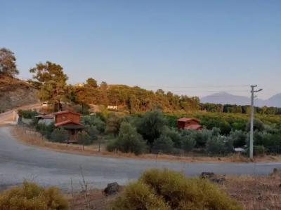 olive garden bungalow - 1