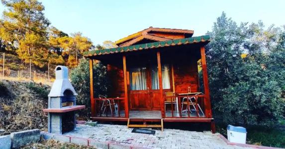 olive garden bungalow - 18