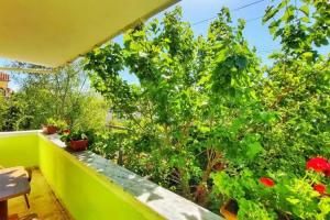 Guest House Pogradeci, Pogradec