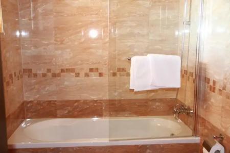 Хотел АЛЕКСАНДЪР - 28