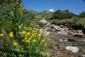 Guest House Ela, Dolna Banya