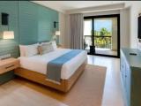 1 Bedroom Tropical Unique Junior Suite